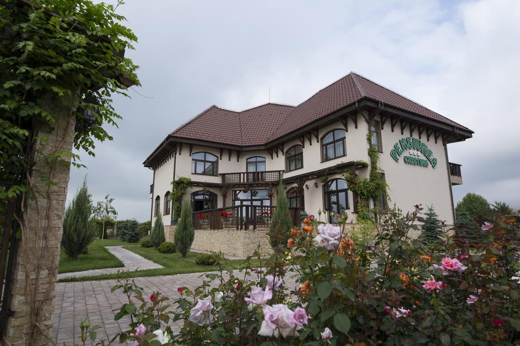 Pensiunea Cristina Malu Mare Exterior photo